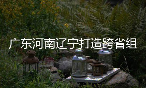 入选河南组合泽涛 宁打造队跨省辽宁接力有望广东三省